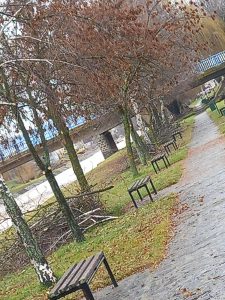 FB_IMG_1770052556644