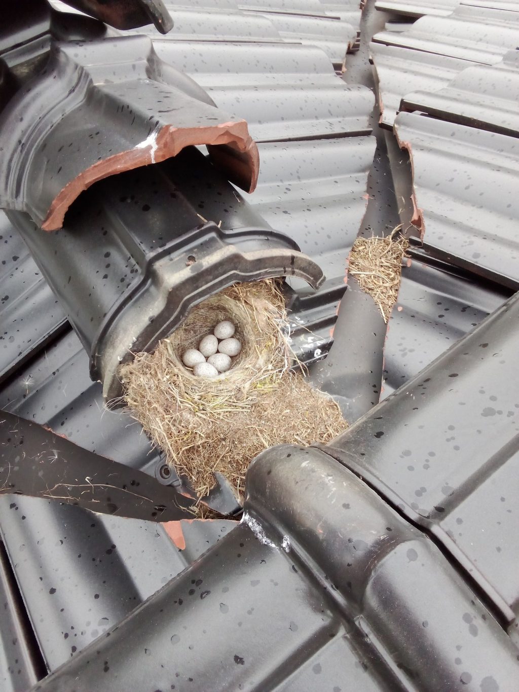 679194931_122209482326054052_5712421049533236638_n